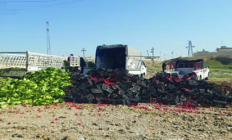 6CB40F86 9FB6 4CE1 B45A 7BE7D12267A1