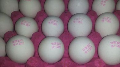 6F250B49 BD33 4F07 8EAB 3ABB88D70C67