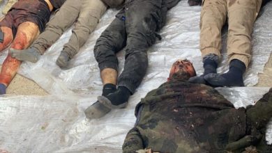 72EB4C6D D313 445F 8C7B 844BAD351C00