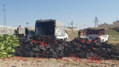 742E95AA 9001 44BD B9DF EED666AF035A