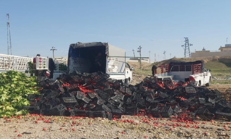 742E95AA 9001 44BD B9DF EED666AF035A