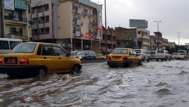 7C4BBC02 E217 46A0 9B62 9B0BBA17FCEA