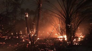 7FF63BA7 4966 4E68 8BA8 F668E50217E9