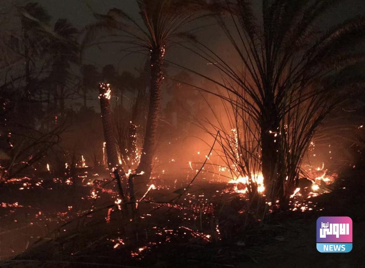 7FF63BA7 4966 4E68 8BA8 F668E50217E9