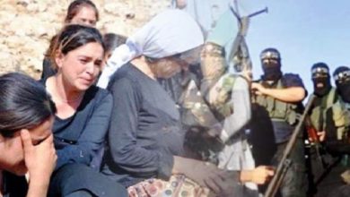 81165EDF CDA4 4600 B467 9393C5874FB9