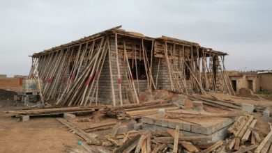 834B6879 9DB3 4CF5 BB14 DFB3905FB43B