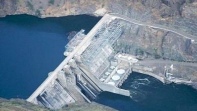 8622021 158657998797538200