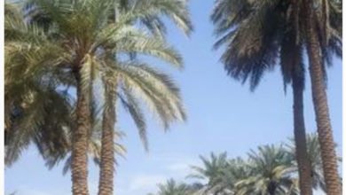 8A6F727E 5617 4D6D BD3D 3B7D13B9CCEF