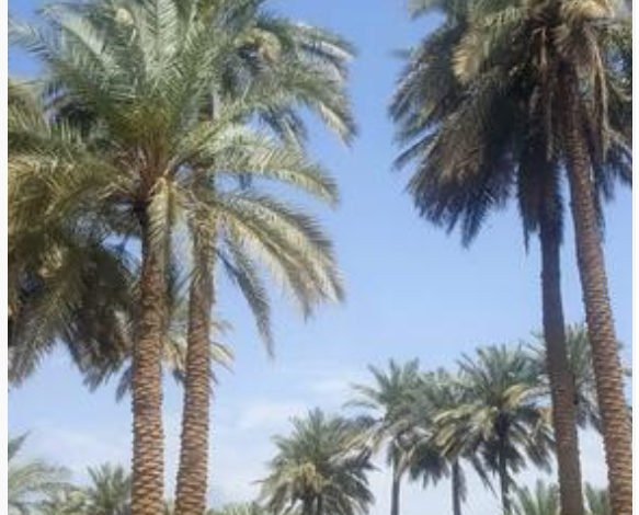 8A6F727E 5617 4D6D BD3D 3B7D13B9CCEF