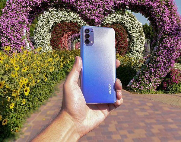 8FD3D5E2 2E88 4D43 B441 19A51CF97ECF