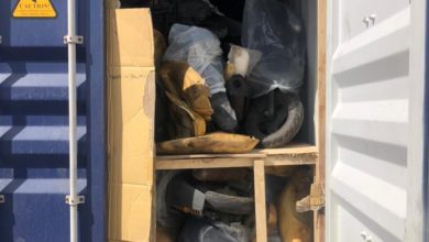 9BC7CFDD C9D6 49D2 A9F5 525CFA718D2E