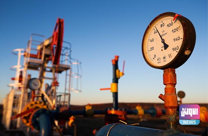 A5049019 810C 4020 B903 24F7B18EC2AC