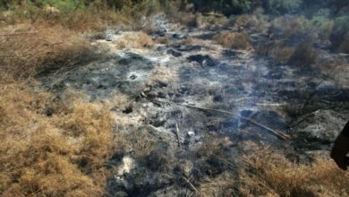 النجف في انتظار نتائج لجنة الاستكشافات عن "مكامن النفطية" 6 AEAD285C 2006 4AEF 9774 2E3F904BFAB7