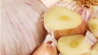 B86E42F7 7CF7 40C5 AEE9 79F0D6E45AE2