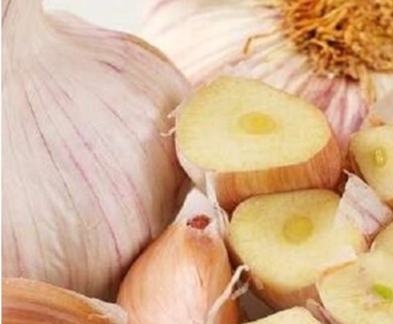 B86E42F7 7CF7 40C5 AEE9 79F0D6E45AE2