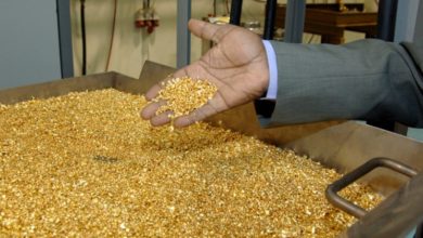 BD0DA81F EFAF 4FBE B21E 21130C4EEDC6