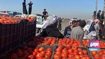 C0B2B2E1 5B6E 45CF 8C38 C16499FBA29F