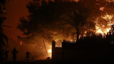 اندلاع حريق في بساتين ودور سكنية وسقوط اسلاك نقل الطاقة الكهربائية في كربلاء 2 C8D201DF 18F6 4192 9D9F 15A40152CFDF