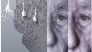 D1C5A75C A3A9 42B1 84DF BAF4C677572F