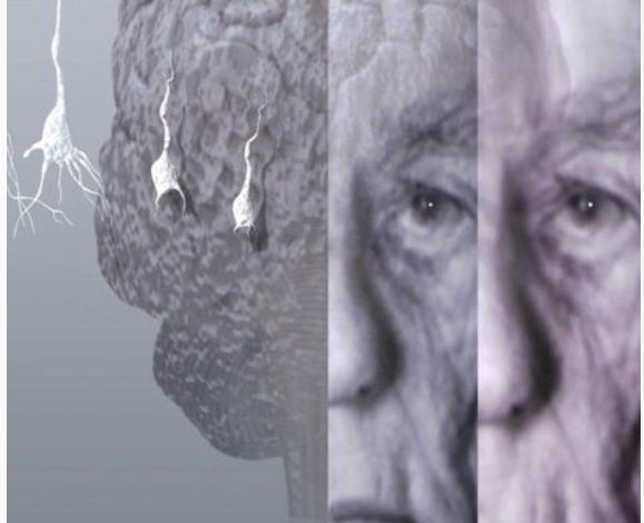 D1C5A75C A3A9 42B1 84DF BAF4C677572F