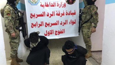 D3F90672 36ED 4B6C B080 3571D03BECB8