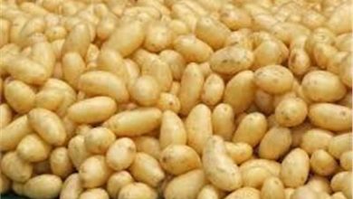 D5890FB1 3144 48B8 BE81 856E28C2D09F