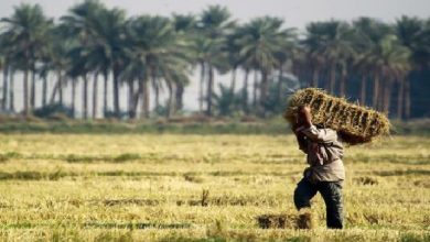 D5D0CE56 6527 484F B4CA 1DC82F34A1CC