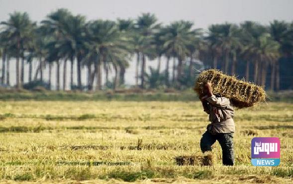 D5D0CE56 6527 484F B4CA 1DC82F34A1CC