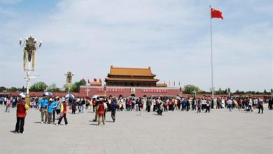 DB5994D4 FA91 423E 96AB E0EAC337937C