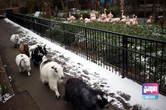 E62CC52D 9585 4319 A4ED 751F412CEB09