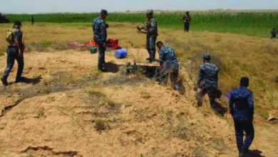 EBF9ED6D 2AF9 49F0 99AE 50AE6CA9DE7F