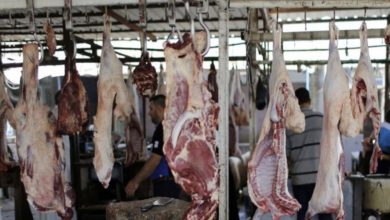 EBFF7B10 8A66 4C97 A247 3BAE27B36DAE