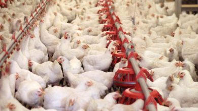 EEE81071 B713 4061 8B00 6FC2379C8B45