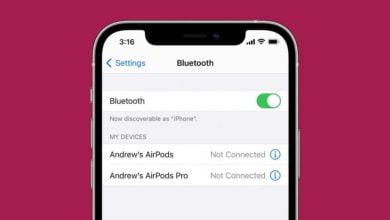 FDC4C35C 059C 4E25 8A49 AF1A654DBD5A