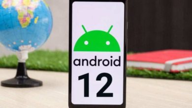 FFE33C6F 6C80 4F02 88B8 EC68BCADACEA