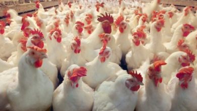 IMG 20210205 210321 058