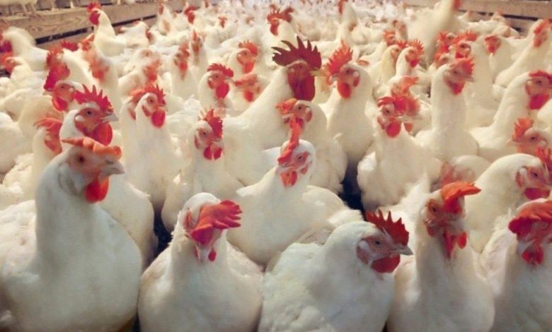 IMG 20210205 210321 058