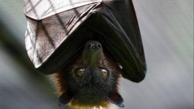 IMG ٢٠٢١٠٢٠١ ١٧١١٣٠