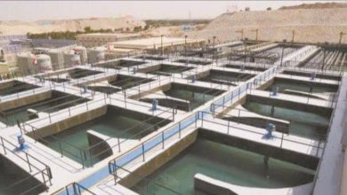 IMG ٢٠٢١٠٢١٠ ٢٠٢٨١٦