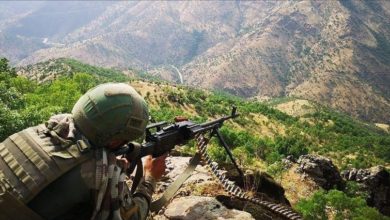 IMG ٢٠٢١٠٢١٢ ١١٣٤٤١