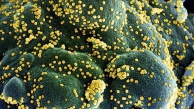 IMG ٢٠٢١٠٢١٦ ٢٠٣٣٠٩