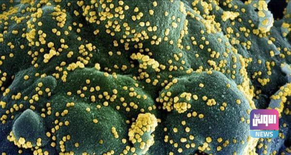 IMG ٢٠٢١٠٢١٦ ٢٠٣٣٠٩