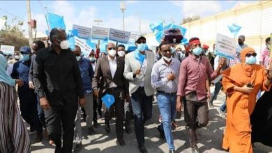 IMG ٢٠٢١٠٢٢١ ٢١١٩١٧