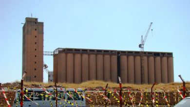 U¡U¤ U¤U¨ U¡U 11622021 41936728