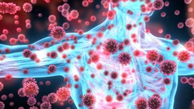 f4dd31f8 36e6 4cb9 a229 c65935297f96 16x9 600x338