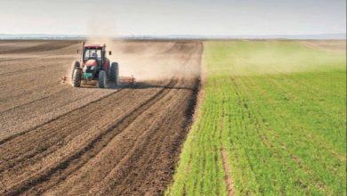 ٢٠٢١٠٢٢٣ ١٧١٣٠٤