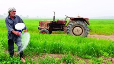 ٢٠٢١٠٢٢٥ ٢٢٤٣٣٤