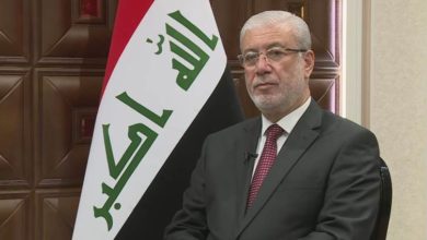 02CBF313 545F 470B 8B95 A034F756FD23