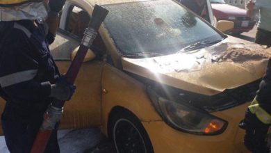 03129971 E956 40D4 82B2 83730BD4F12E