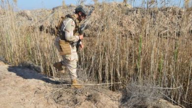 07885F7D 696C 43F4 8C0F 02B438C58C40